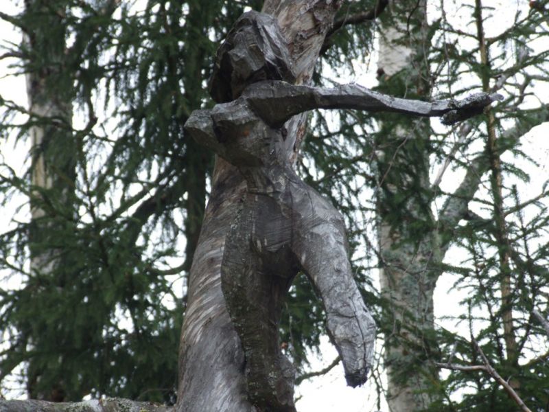 Tallberg_17.jpg
